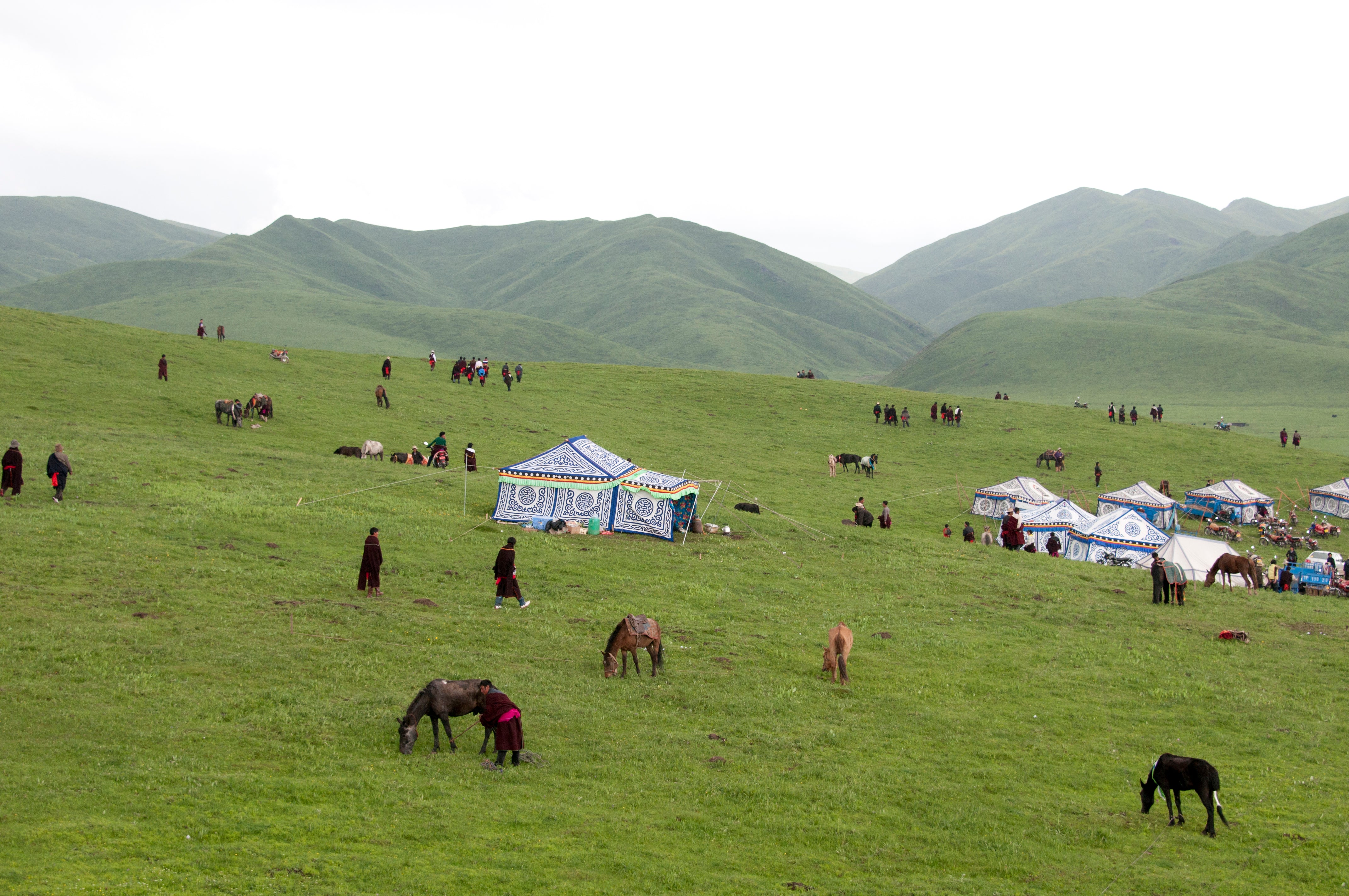 Picnic Tents